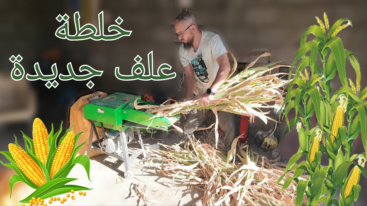 الذرة الخضراء كعلف للغنم، كيف اسحب الماء لحوض السمك، غسل و معالجة الاشجار من الديدان و الحشرات (262)
