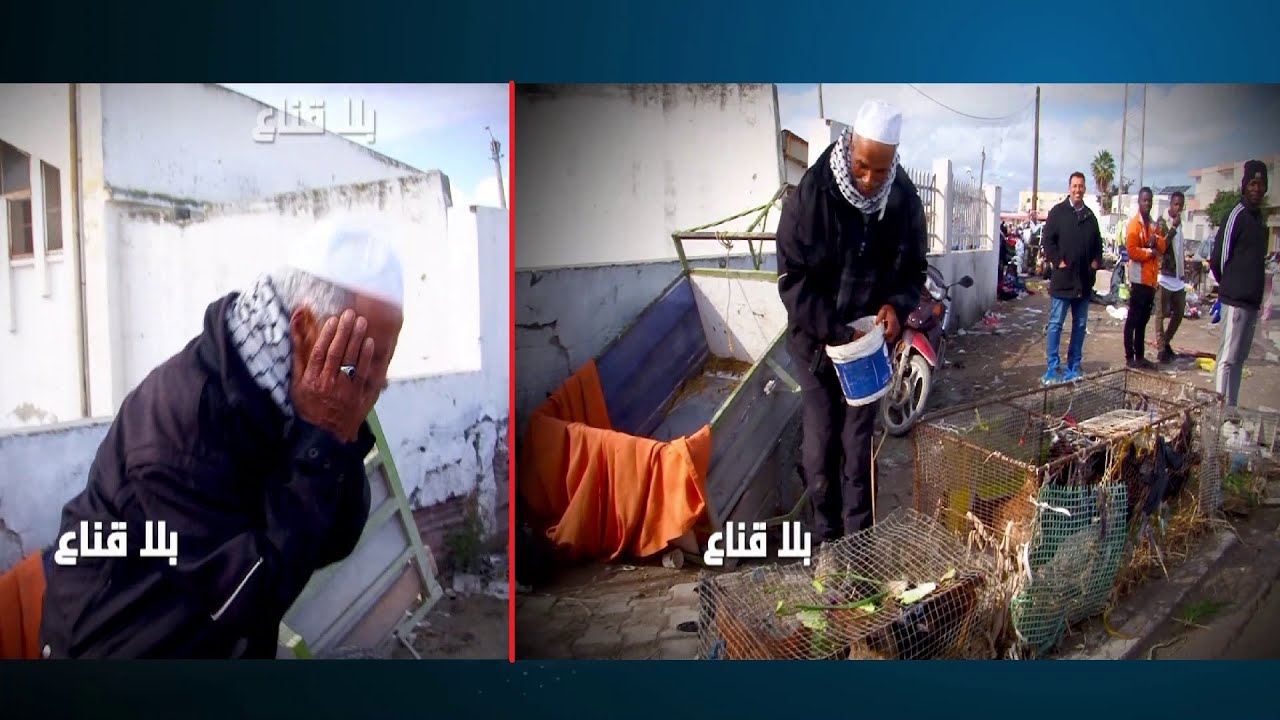 عم المولدي مخضر سانية تاع زيتون ب70 مليون فاق يلقى اللتر ب10 آلاف هه من الصدمة دورها يبيع في الدجاج