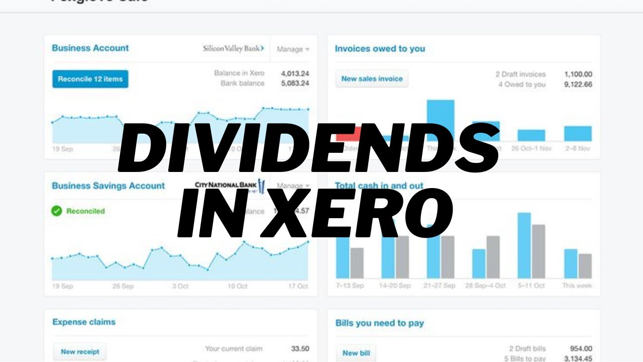 How to correctly enter dividends in Xero (2022)
