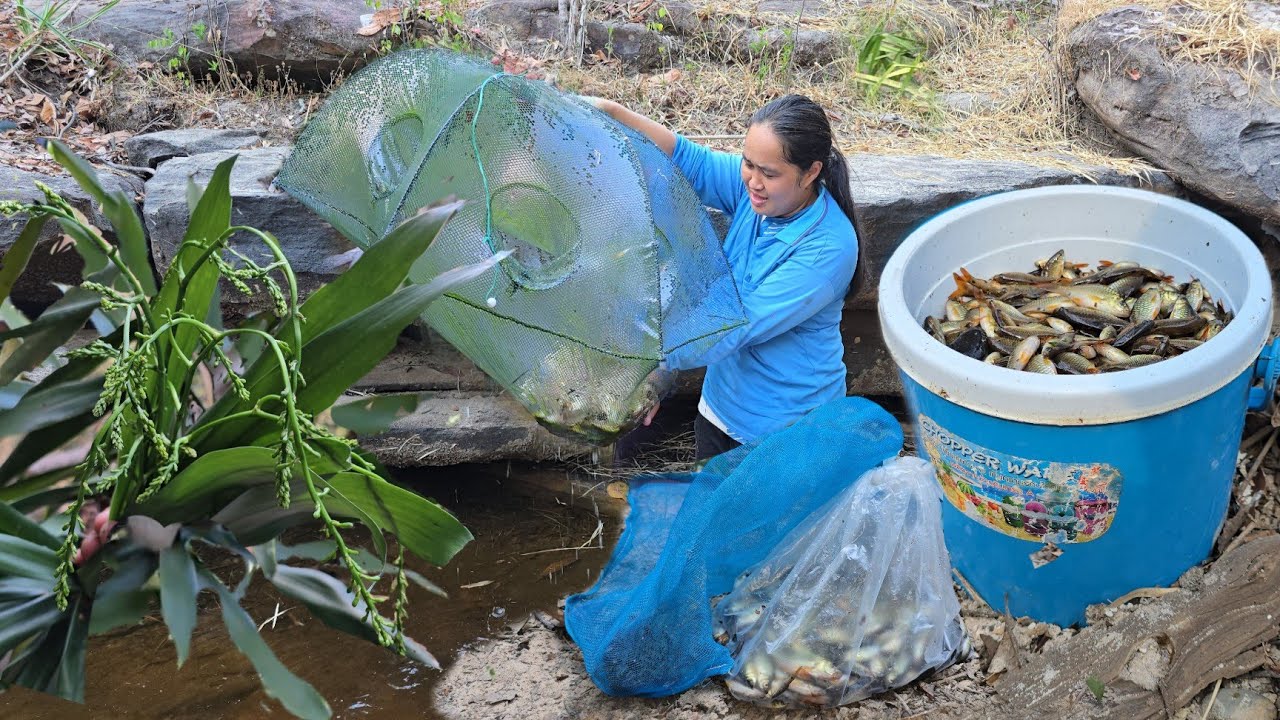 ปลาเข้าตุ้มแทบหัก!!ดอกผักคอนแคนป่าออกแล้ว!ขึ้นเขาเข้าป่าวันนี้!!หมานสุดๆปลา 5- 6 กิโลกรัม!!14ก.พ2568