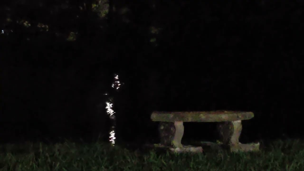 Pond at Night - with Fountain Sound