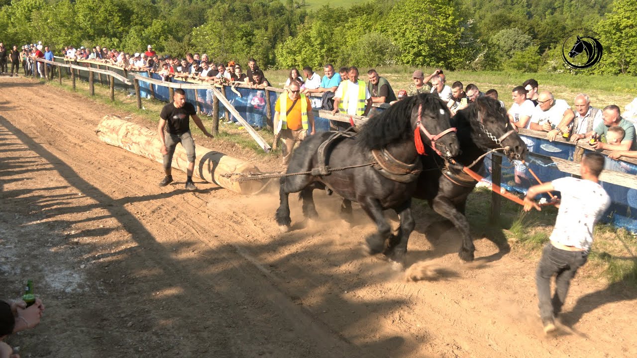 - CIGAN I SOKO ŠAMPIONI SREDNJE U MALOM DUBOVIKU -