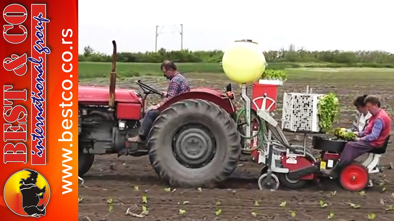Sadnja duvana u Golubincima - Tobacco planting machine Spapperi