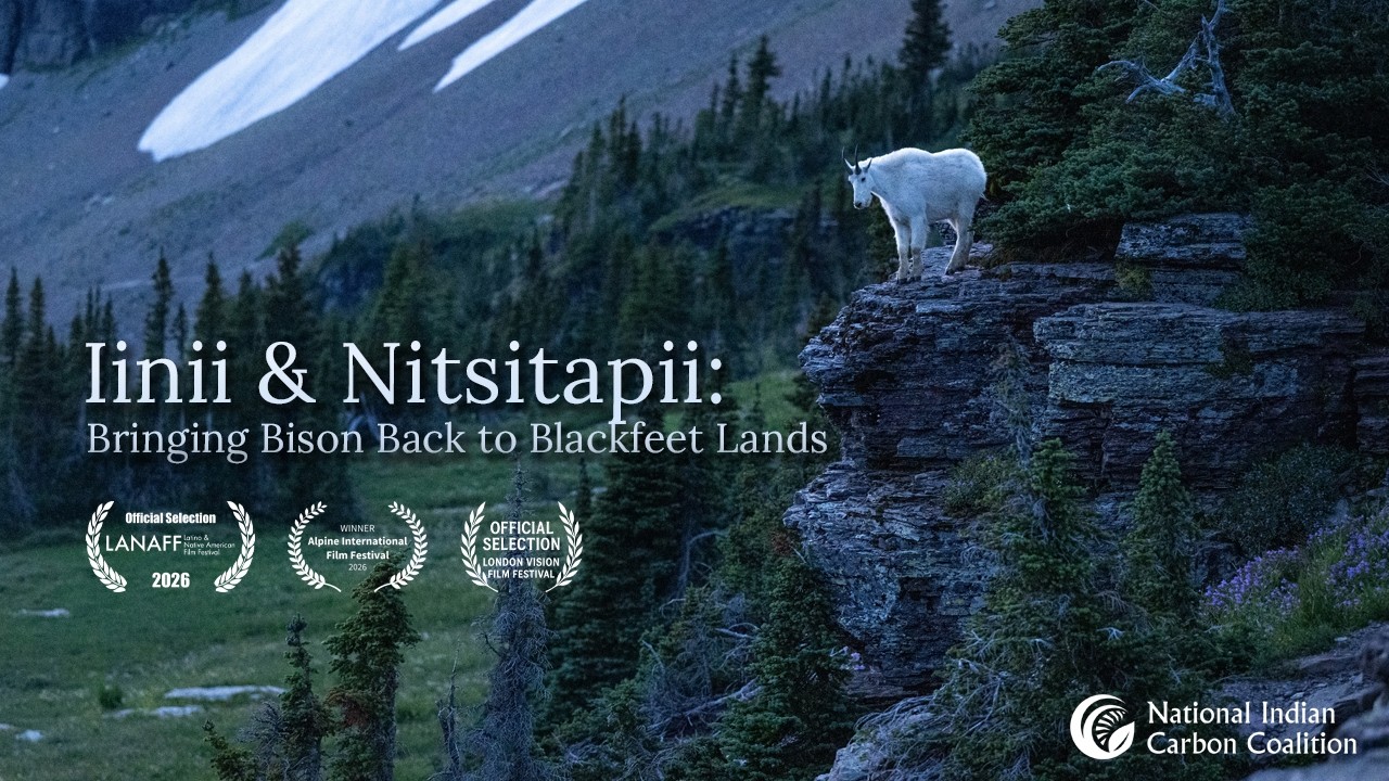 Bringing Iinii Back to the Land: The Blackfeet Nation Carbon Project