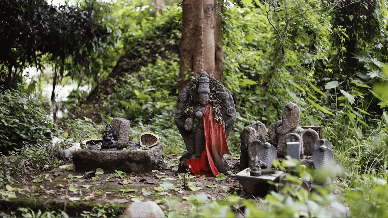 Thekkegramam - The Historic Hamlet | Settlement Study Documentary | Chittur, Palakkad.