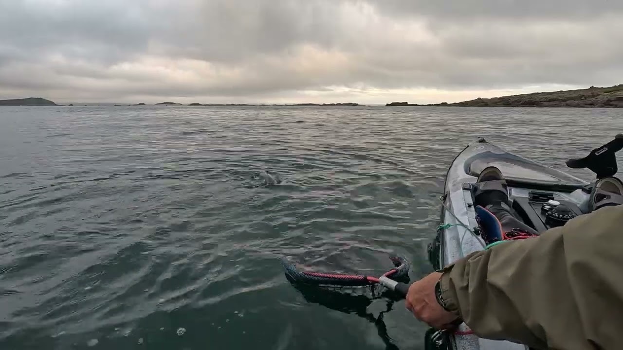 p&ecirc;che en mer du bar en kayak c&ocirc;tes d'armor tr&eacute;beurden