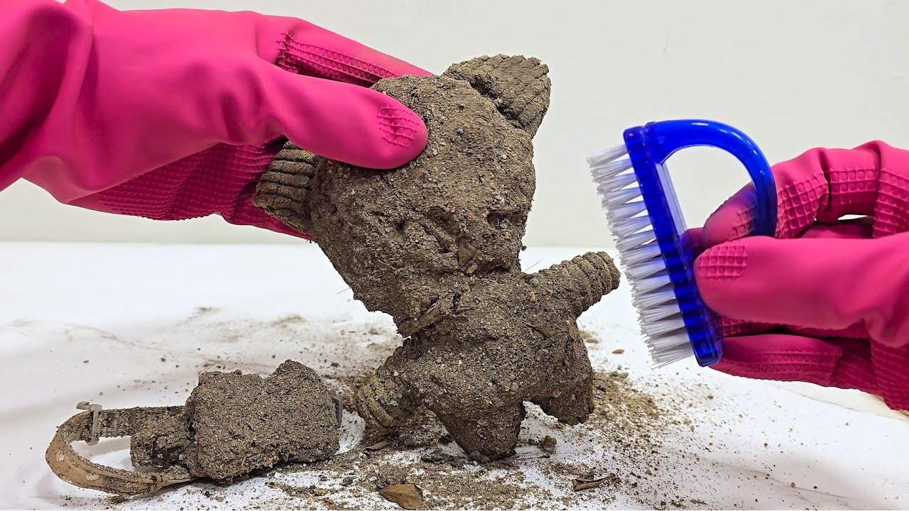 Satisfying Cleaning a Dirty pet toy. ASMR