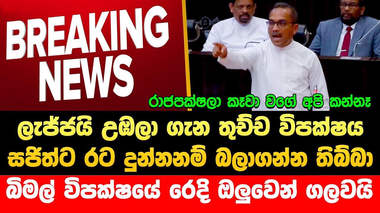 🔴ඇමති බිමල් තමා සුපිරිම චරිතේ දෙනවා ඇටි හැලෙන්නම විපක්ෂයට | Npp Live | JVP Live | AKD