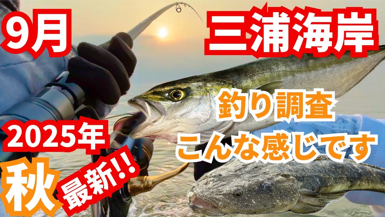【9月】秋の兆し!? 青物・ヒラメ・マゴチ狙い！【中潮】三浦海岸｜#vlog #釣り初心者 #サーフ #ショアジギング #ジョルティ #マゴチ #イナダ #ショゴ #神奈川 #海釣り