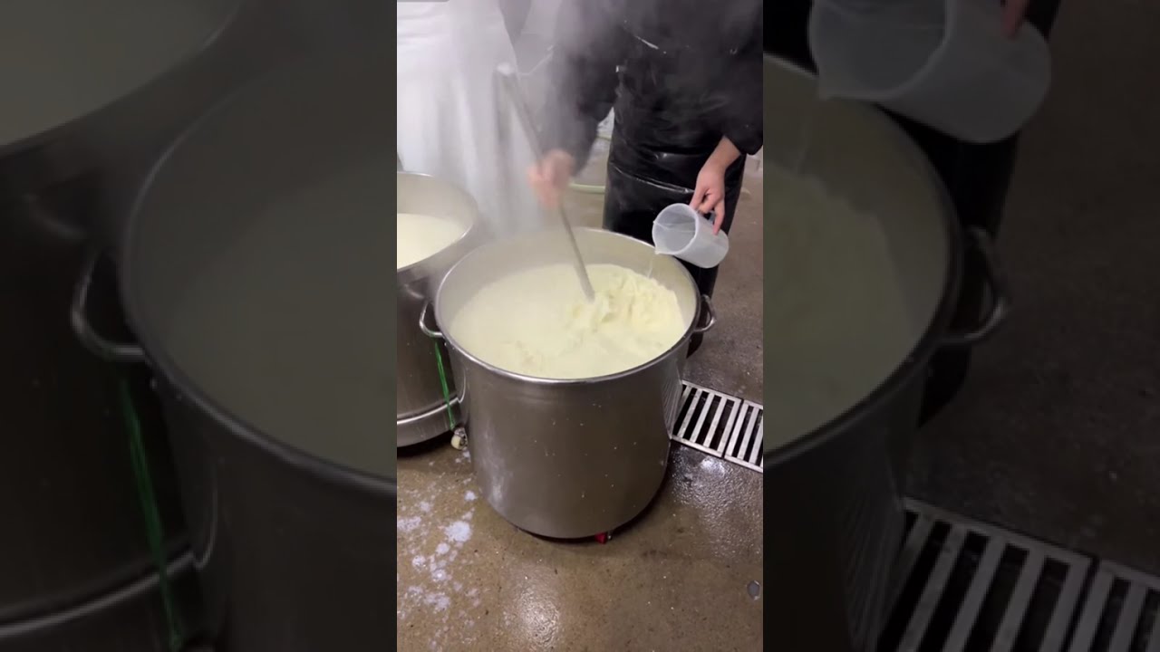 TOFU Making🔴LIVE🔴with Hongjunsheng Tofu Workshop