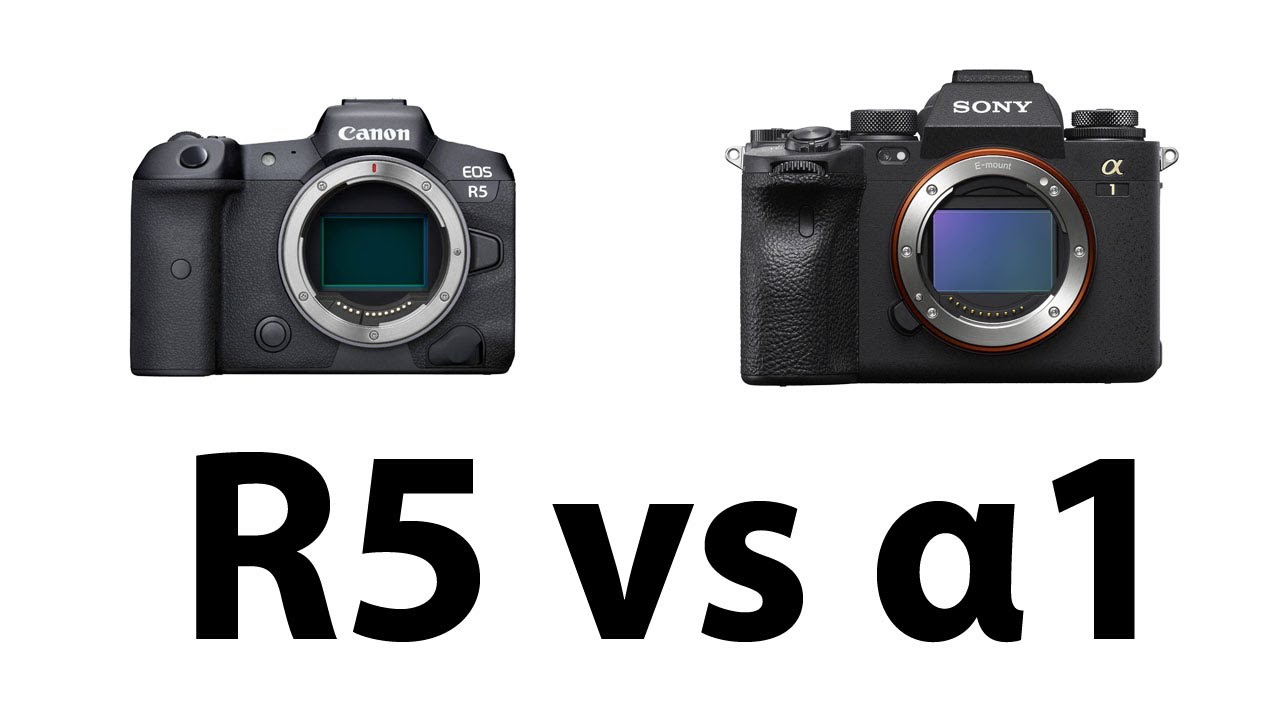 Sony Alpha 1 kontra Canon R5 i R6