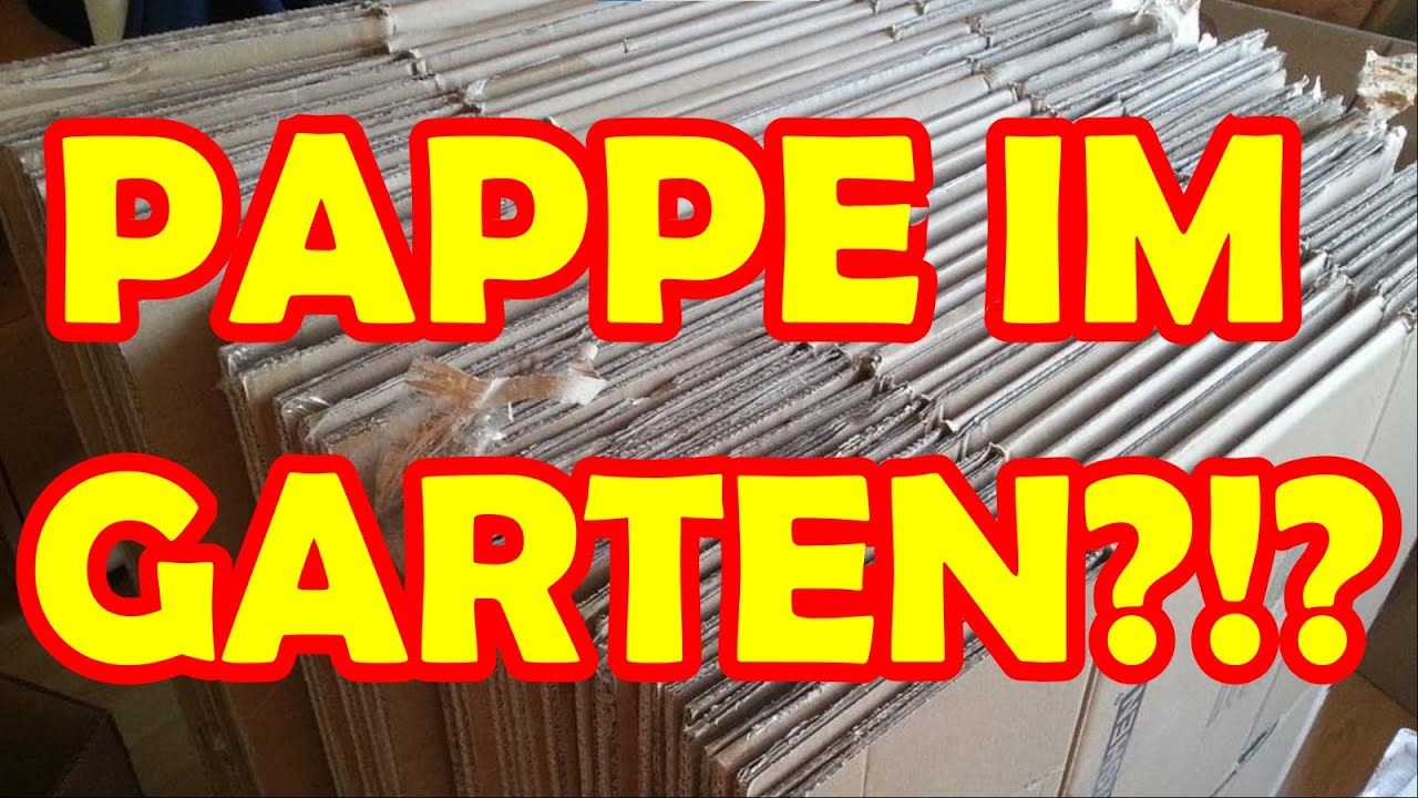 Pappe im Garten verwenden Vor und Nachteile Nodigbeete, Kompost, Gem&uuml;seanbau f&uuml;r Anf&auml;nger Beet