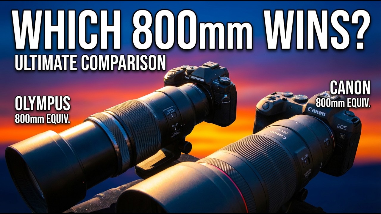 Full Frame vs Micro Four Thirds at 800mm — Canon R6 II vs Olympus EM-1 II (Real World Photo Test!)