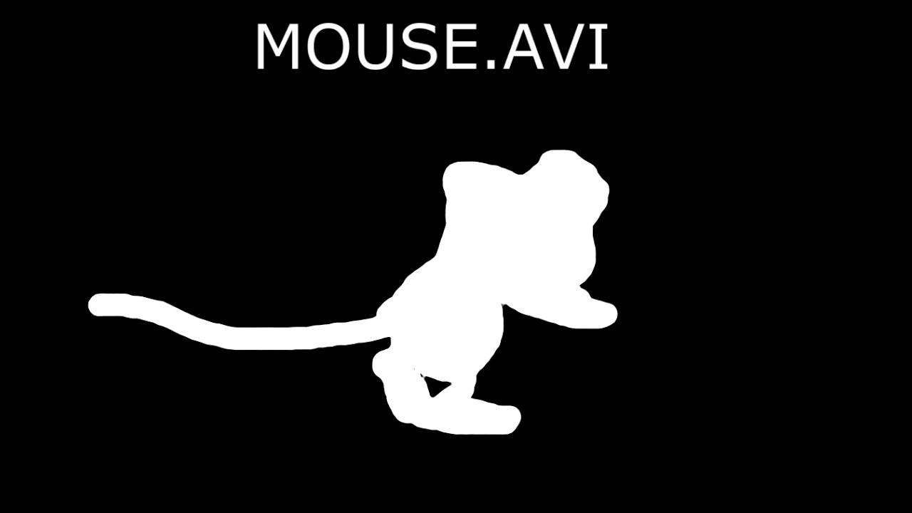 them mouse is cursed but on a computer (its from randy hilson's zip file)  fails.avi