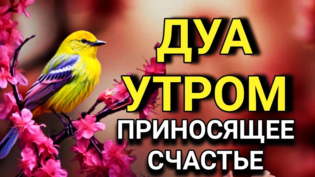 💖 ДУА УТРОМ САМЫЙ МОЩНЫЙ СТАРТ ДНЯ! 🤲🌟💯