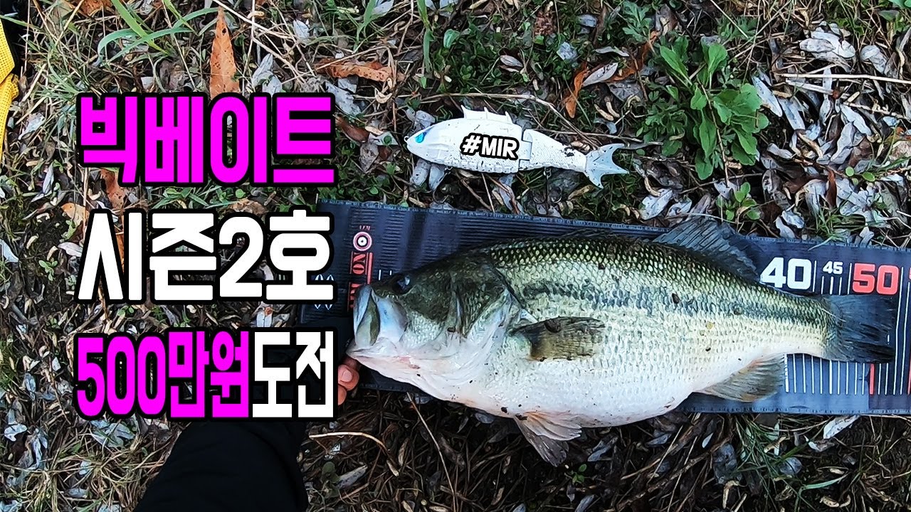 배스낚시 빅베이트 미르, 시즌2호, 500만원에 도전! #doubleh #dhigbm #런커