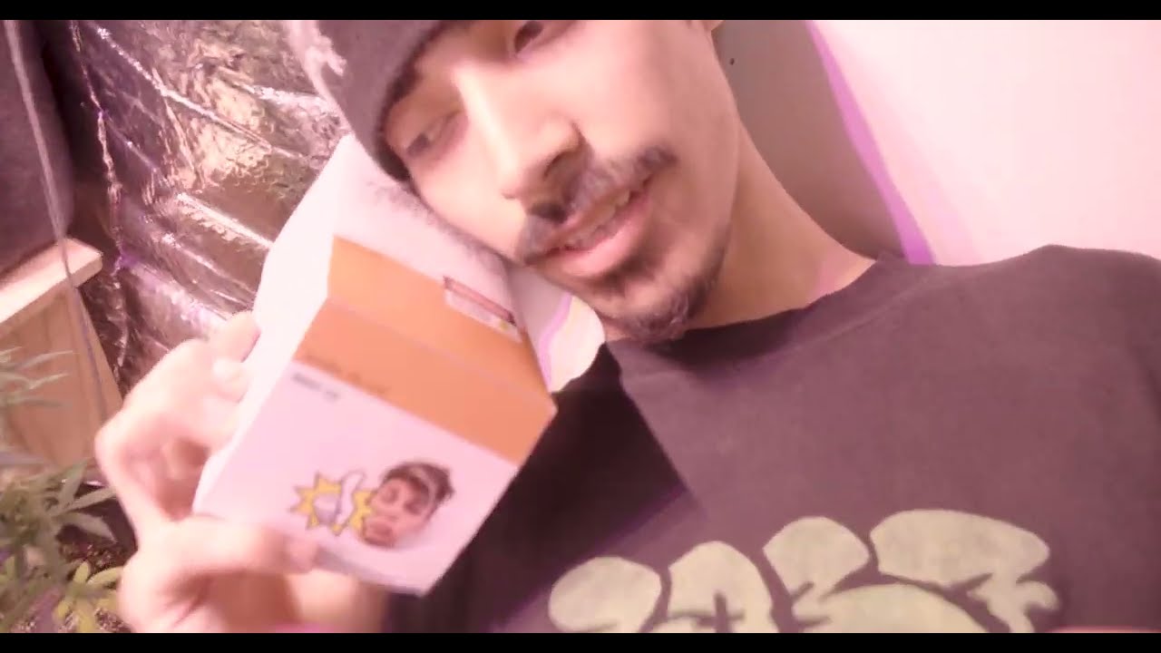 no tengo un pe - jovenalien