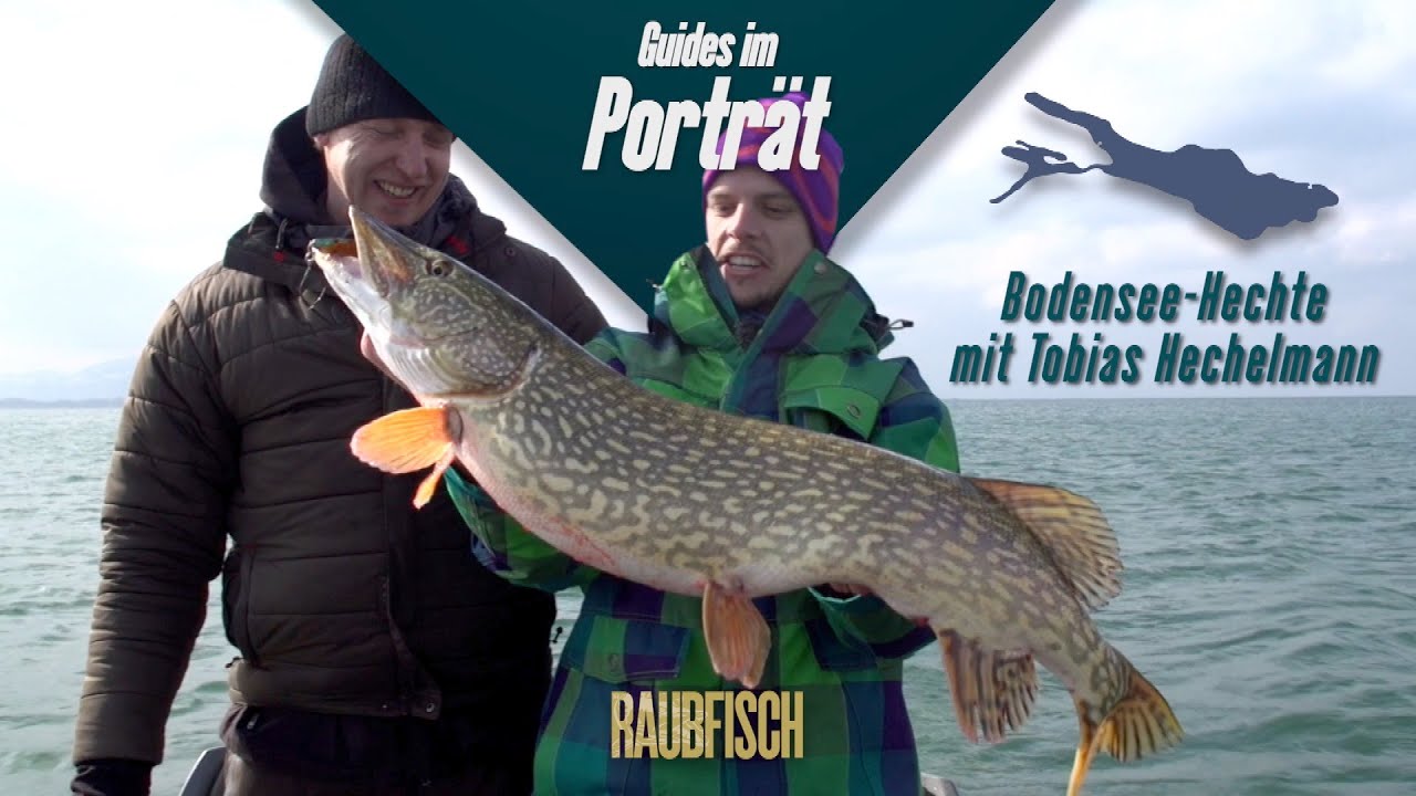 Angel-Guides im Porträt: Bodensee-Hechte im Frühjahr!