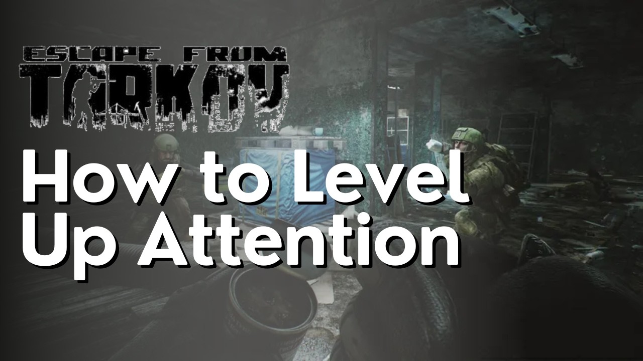 Как повысить уровень внимания в Escape From Tarkov
