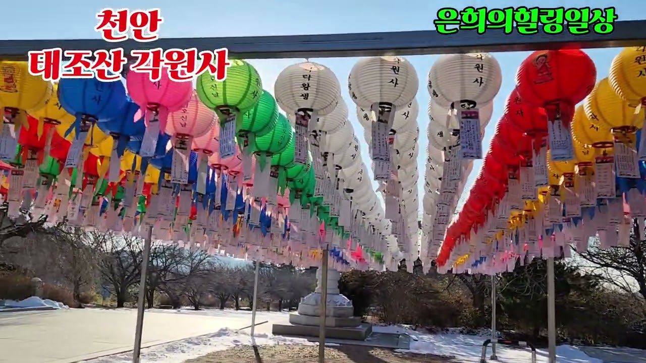 천안 아름다운사찰 #각원사 #청동좌불상