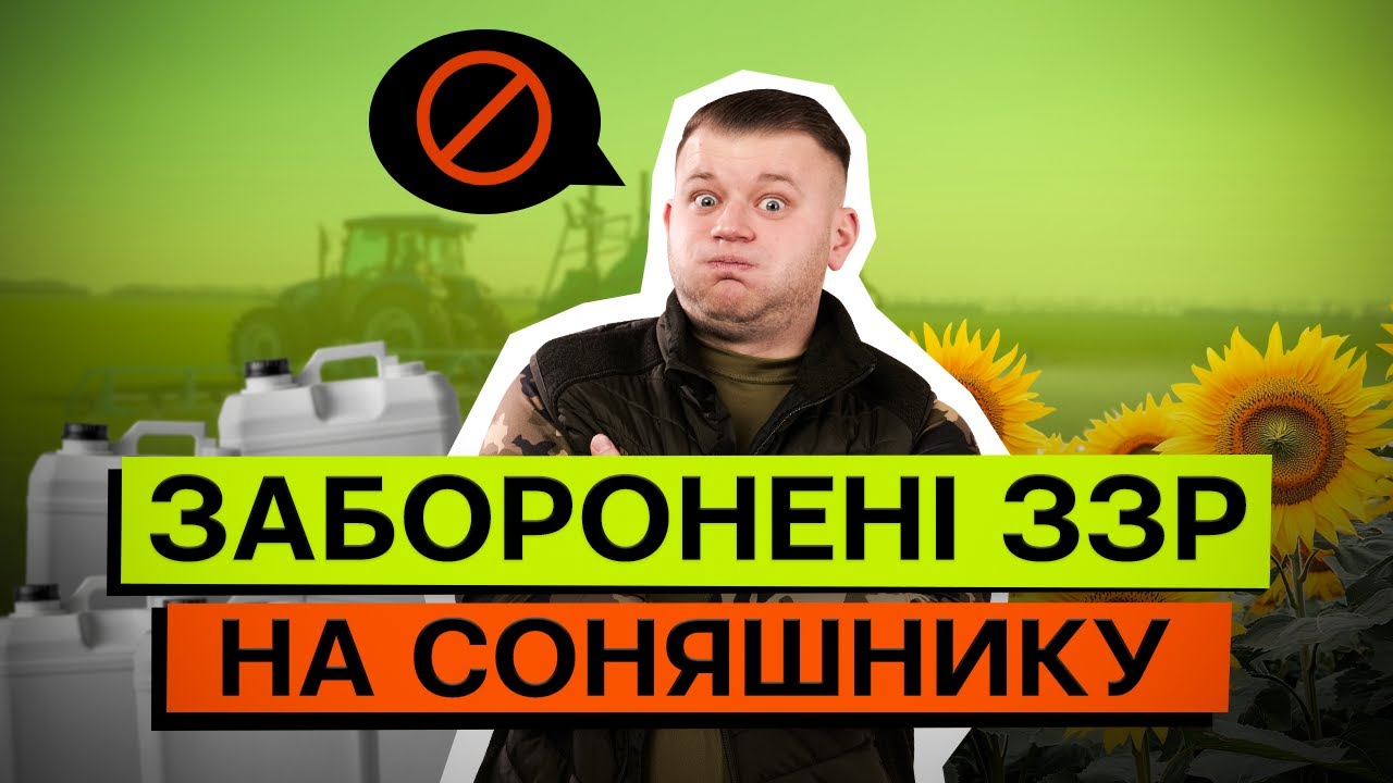 🚨 СПИСОК ЗАБОРОНЕНИХ ДІЮЧИХ РЕЧОВИН НА СОНЯШНИКУ. ЯКІ ЗБИТКИ І РИЗИКИ?