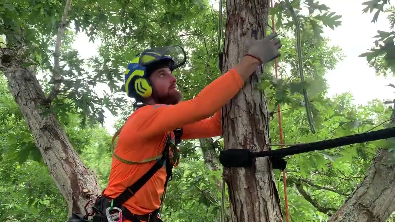 Cobra cable installation