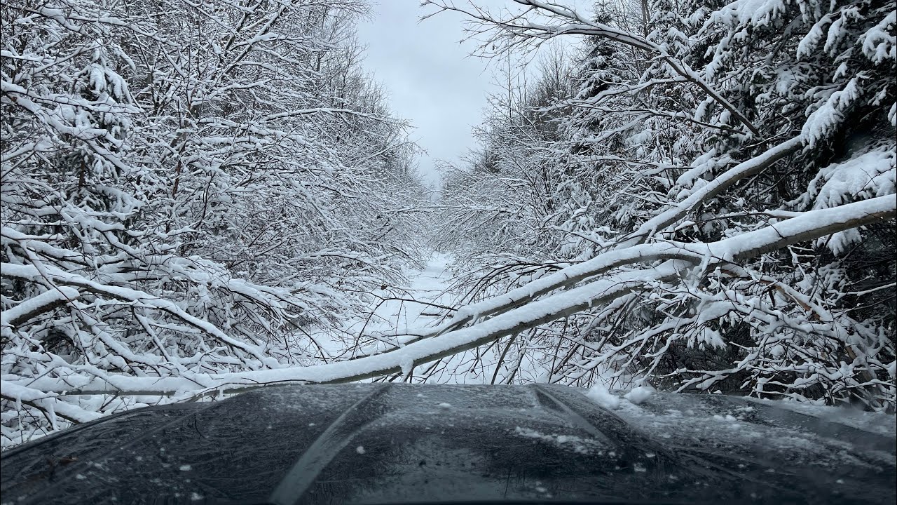 Winter Hits Hunt Camp - Alberta Boreal Bound
