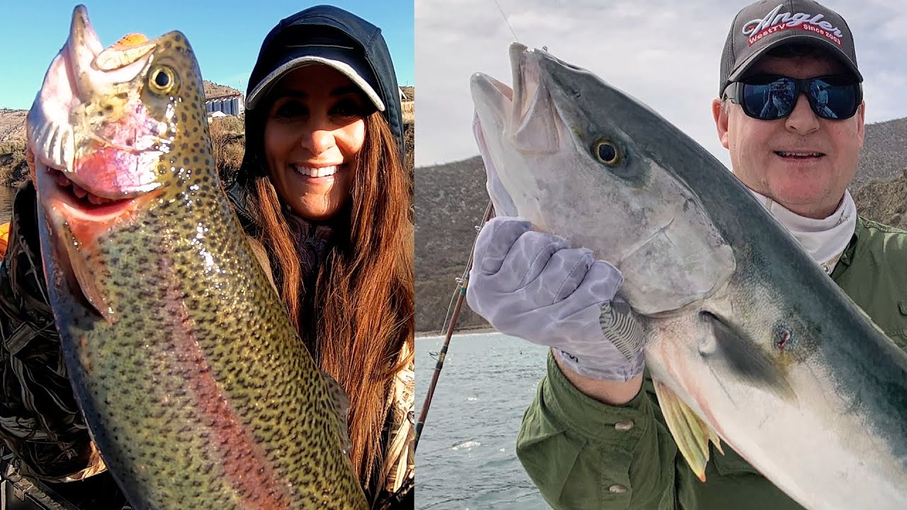 Rufus Woods Triploids & Baja Yellowtail