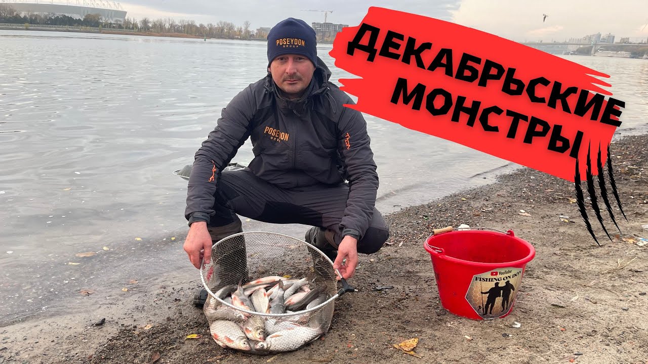 РЫБЕЦ-СЫРТЬ. ЛОВЛЯ КРУПНОГО РЫБЦА ФИДЕРОМ. ЗАТИШЬЕ-ПЕРЕД БУРЕЙ.