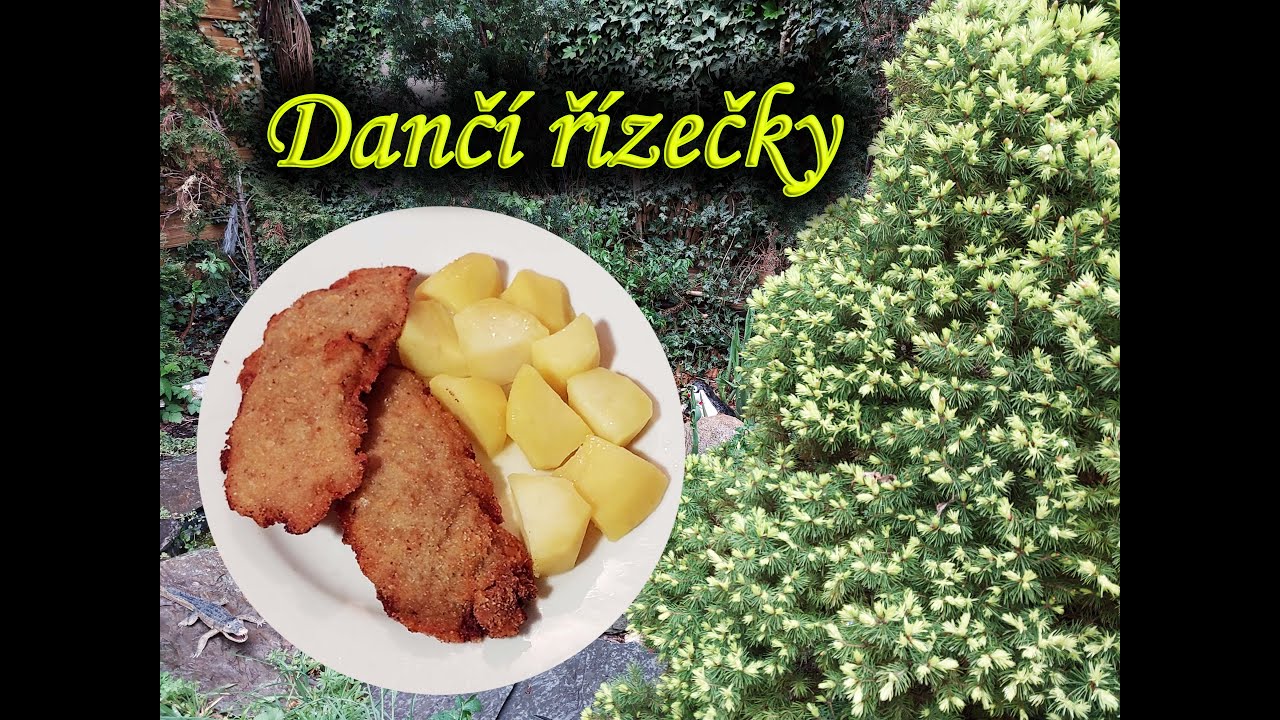 Dančí řízky.