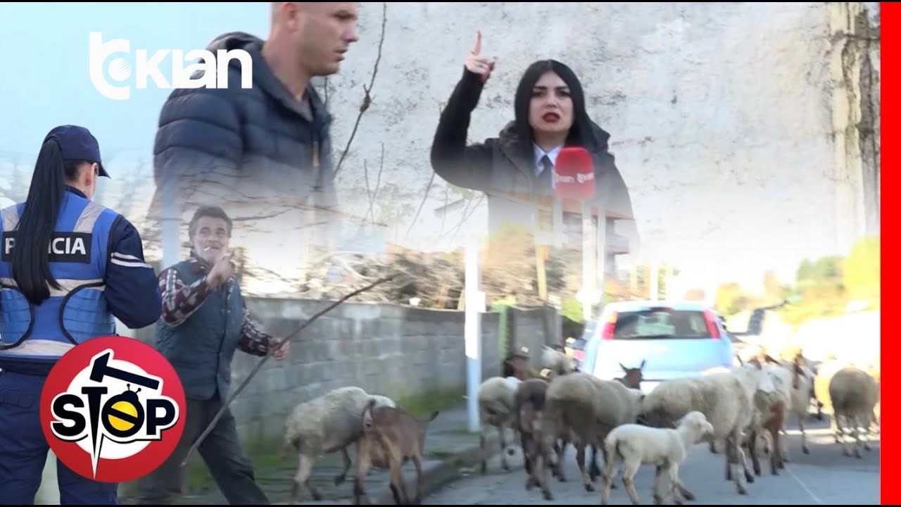 Stop - 150 dele marshojnë çdo ditë në mes të qytetit – stan, video e pabesueshme - 9 Janar 2026