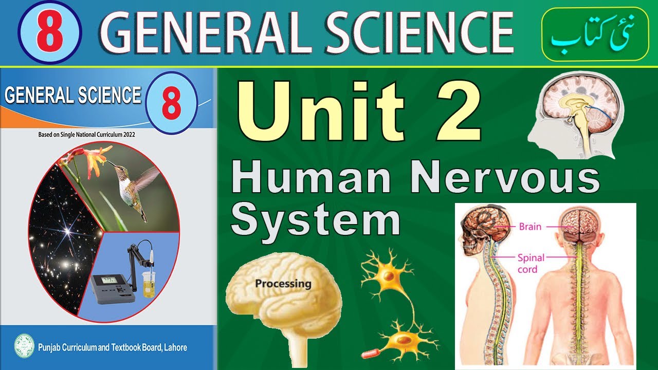 8th Science Unit 2 Complete Lecture | SNC New Book of class 8 Complete lecture on Unit 2