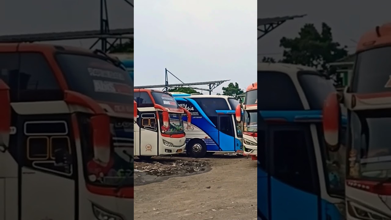 ACM MAHADAT TRANS#buspariwisata#busbasuri#bustelolet#bus