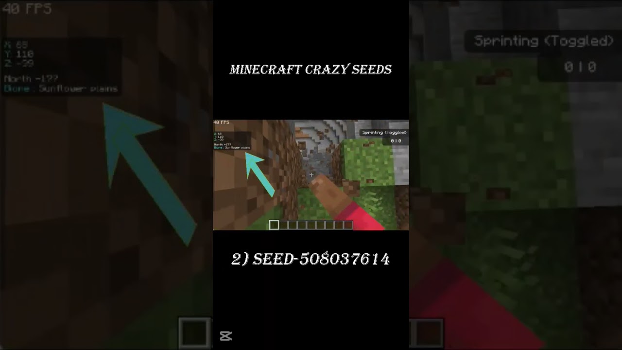 Minecraft crazy seeds #minecraft #crazyseeds