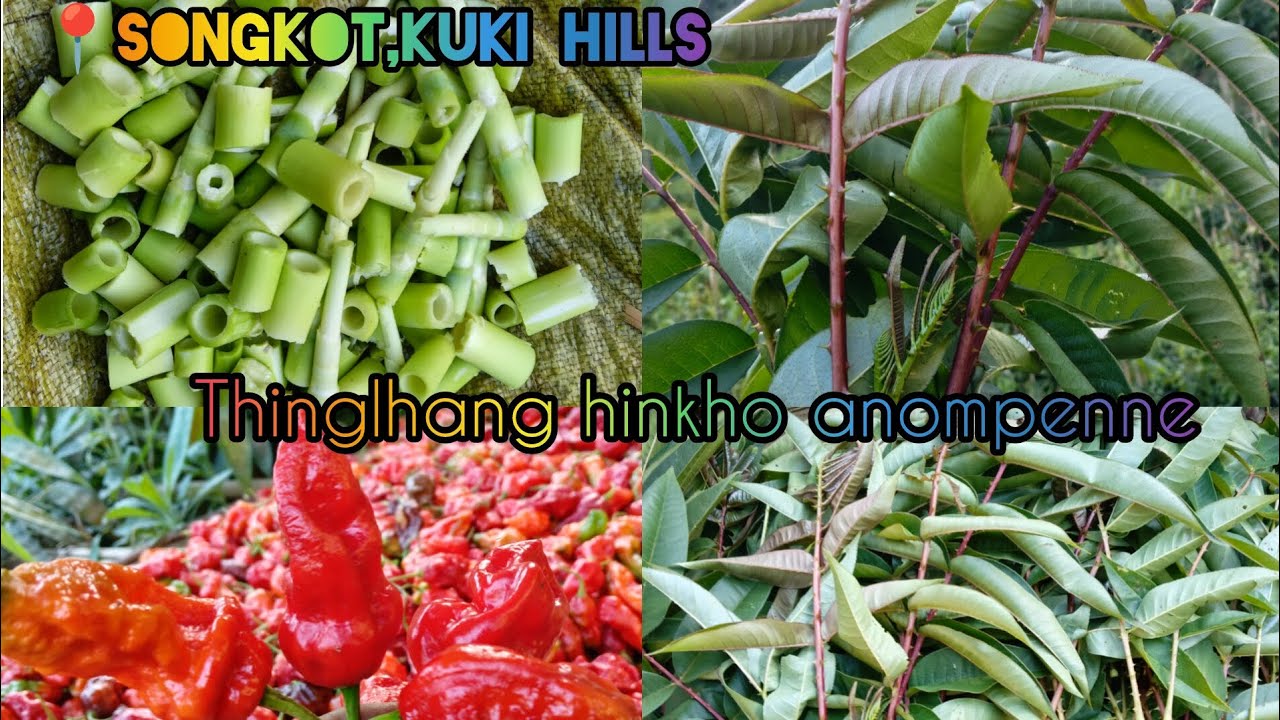 Lou a kakimanchah naho...malcha,SINGJOL,toitele kaholna