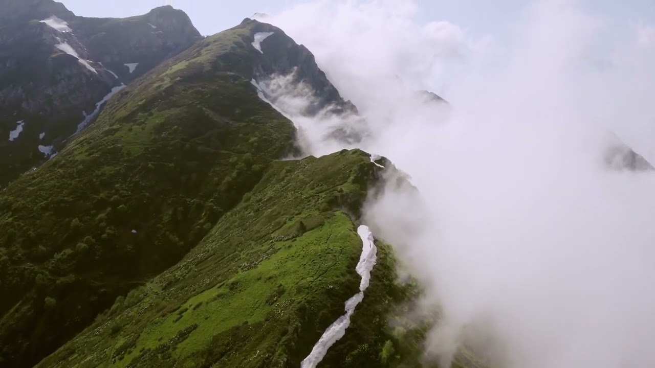 Stress-Busting Meditation Music: Your 5-Minute Serenity Break! in 2024
