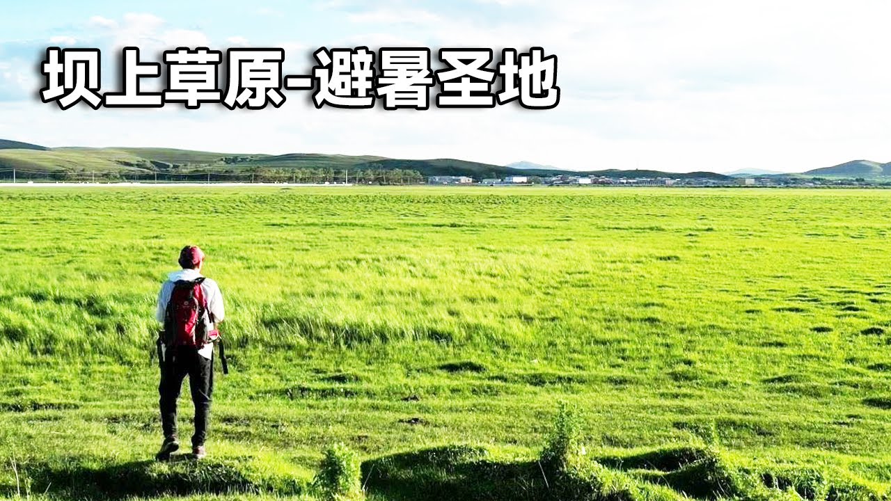 坝上草原堪称避暑圣地！逃离40度高温天开启避暑之旅，平均气温17度太舒服了【行走世界的北京老刘】