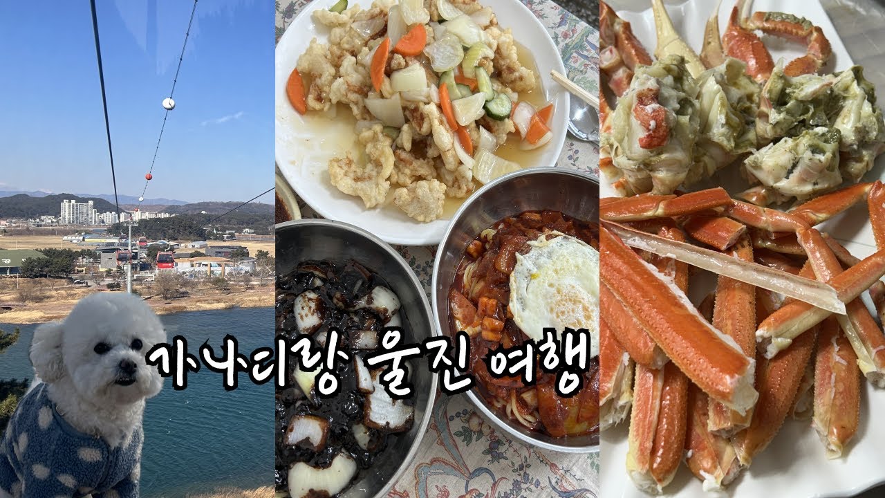 일상 v-log / 애견동반 울진여행 / 삼척맛집 / 얼카페 / 죽변항 대게 / 제일반점 / 울진 왕피천공원 / 케이블카 