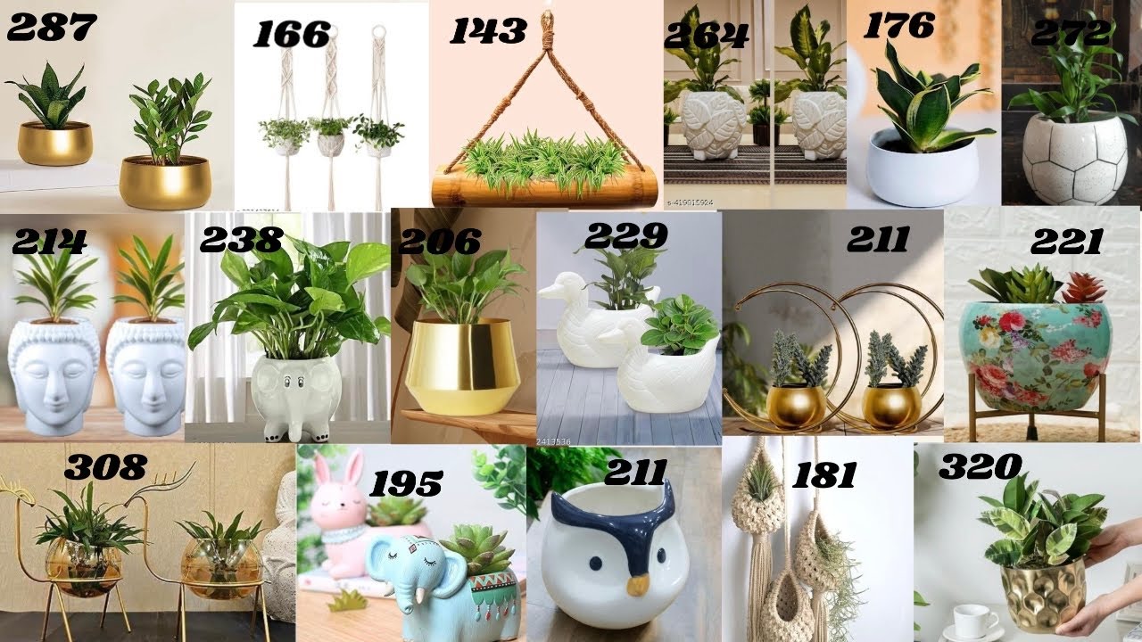 Meesho haul  |  premium indoor plant pots under 300 |  indoor plants |  ceramic and metal plant pots