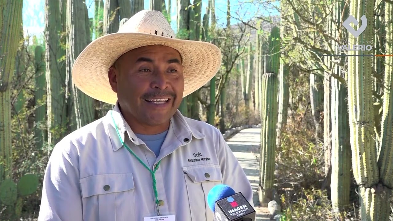 LA RESERVA DE LA BIÓSFERA