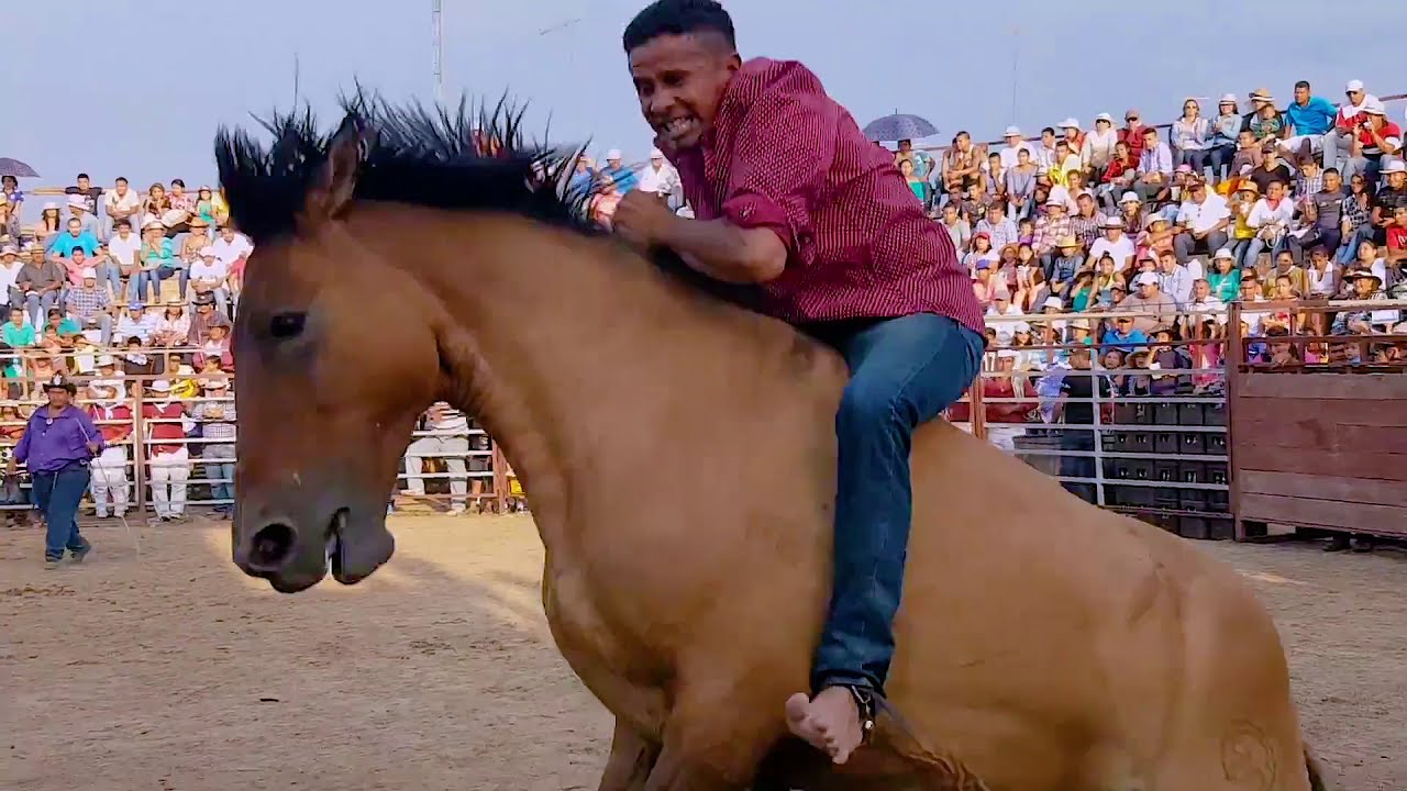 Rodeo Montubio Naranjal Guayas I 66/1.000 lugares que ver en Ecuador antes de morir