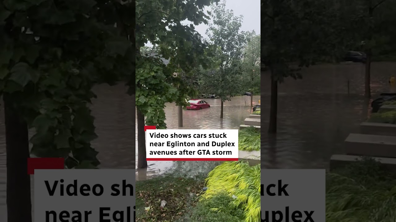 Video shows cars stuck near Eglinton and Duplex avenues after GTA storm