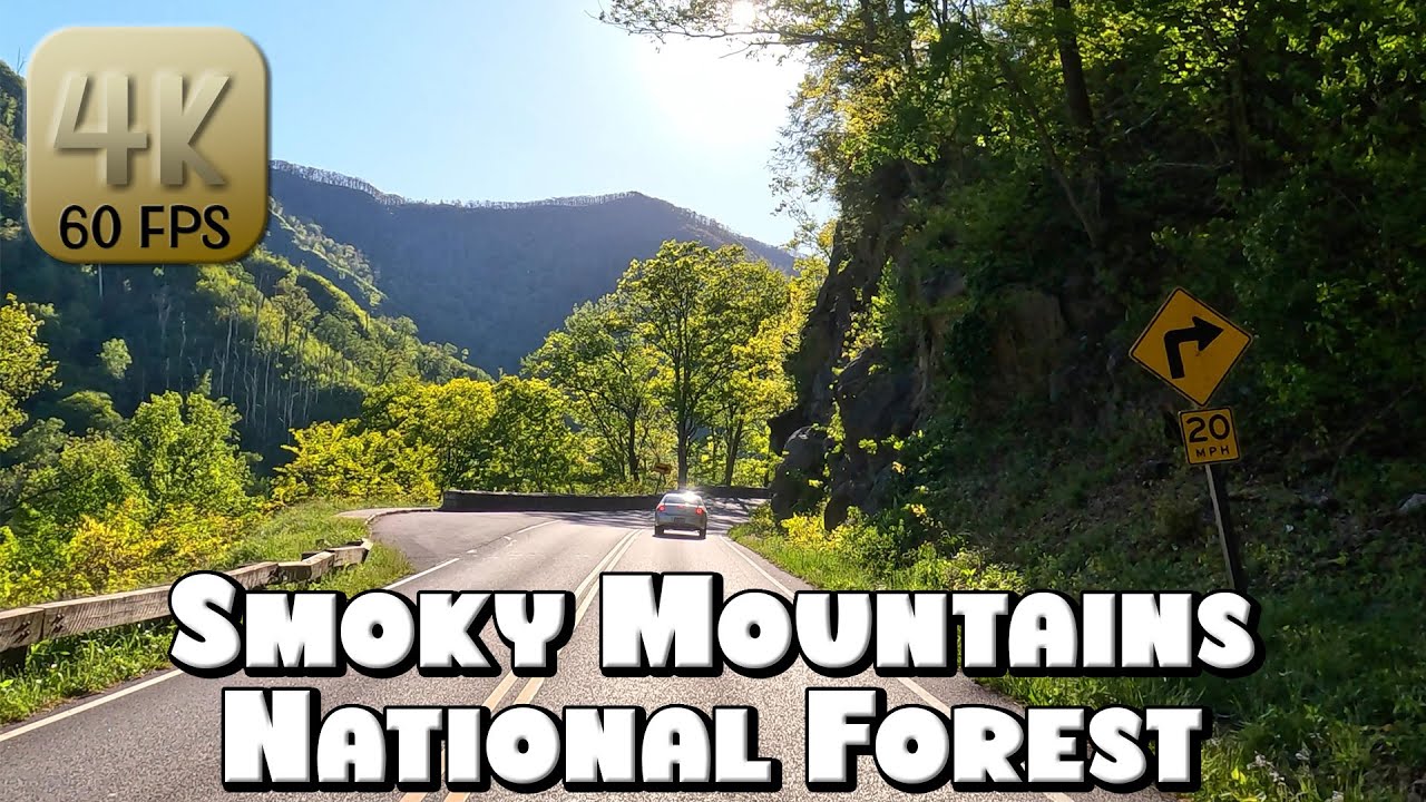 Driving Through the Great Smoky Mountains National Park in 4k Video