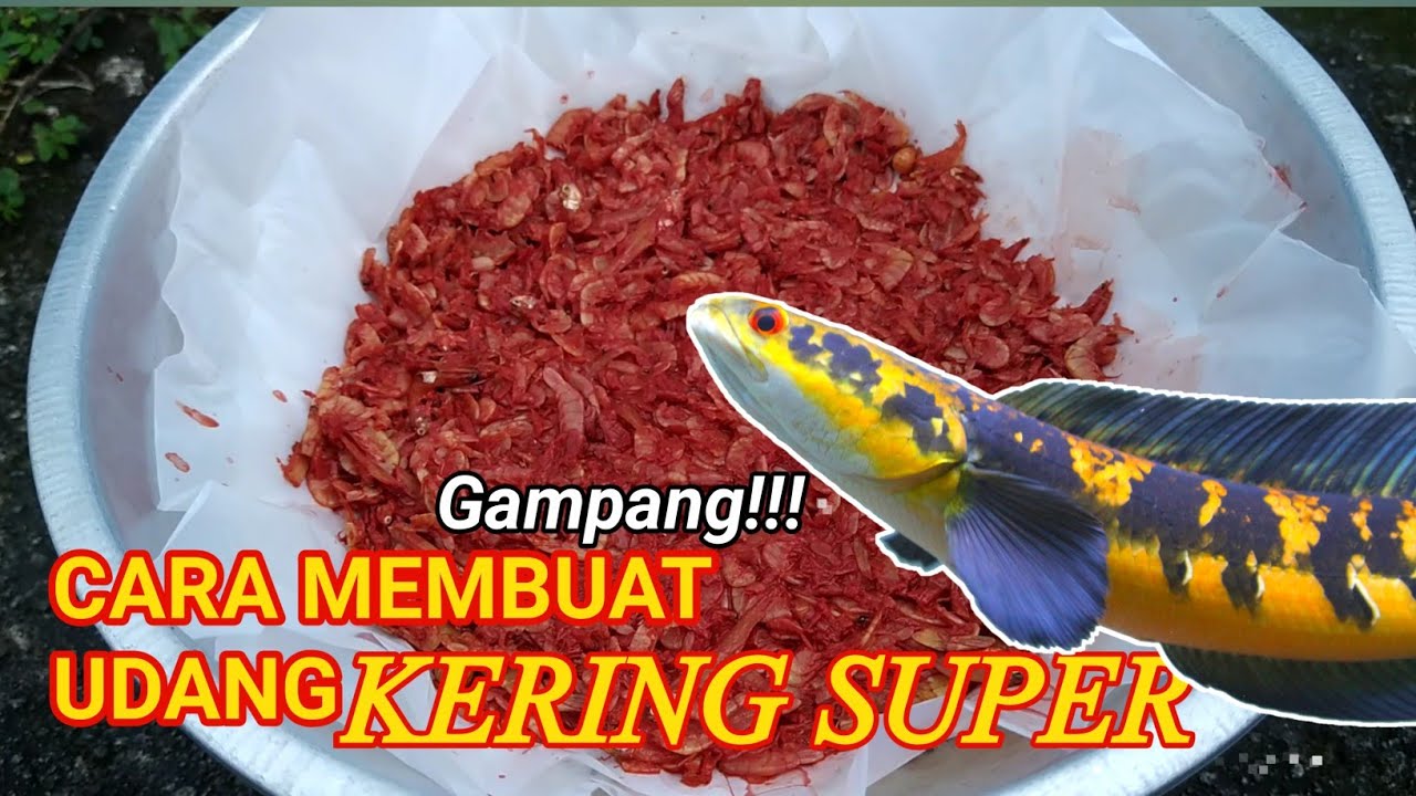 CARA MEMBUAT UDANG SUPER SENDIRI GAMPANG!!!