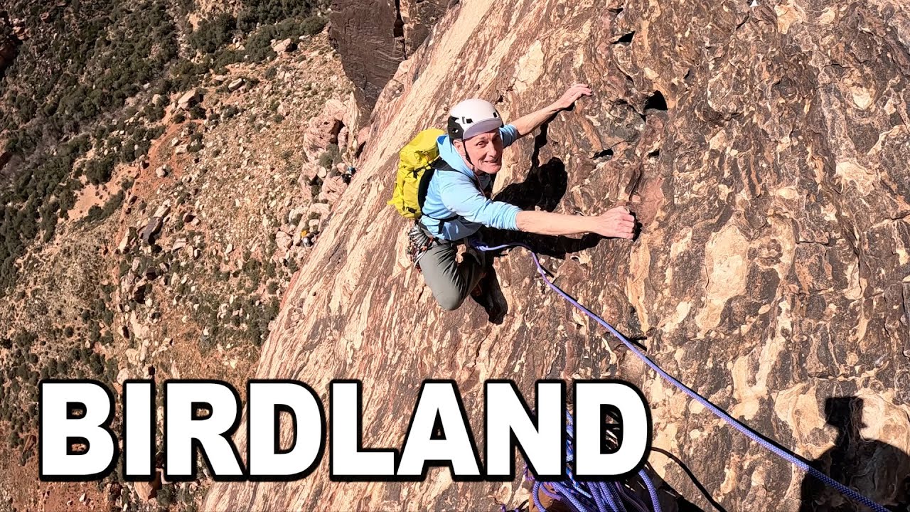 climbing BIRDLAND in RED ROCK CANYON