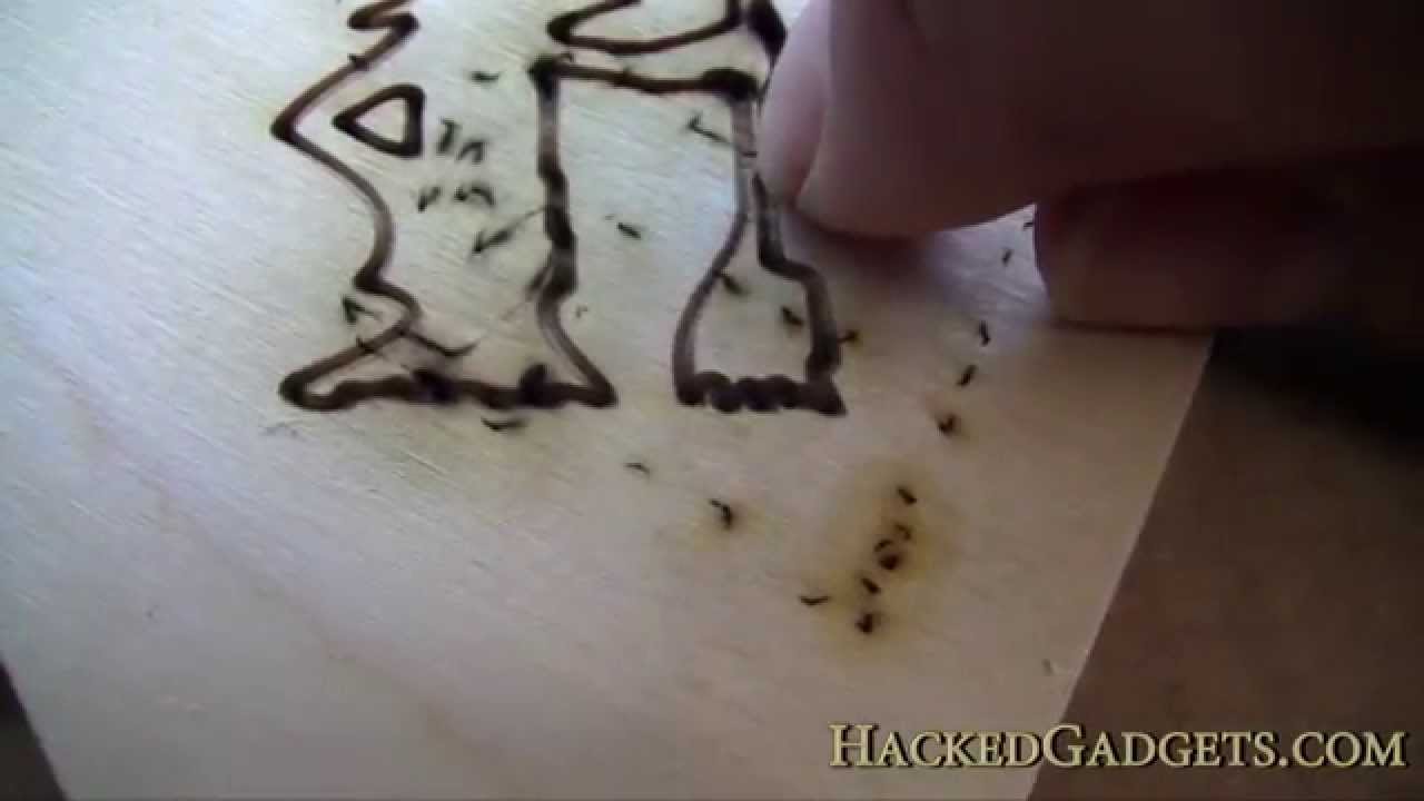 Laser Etched Halloween Cookies