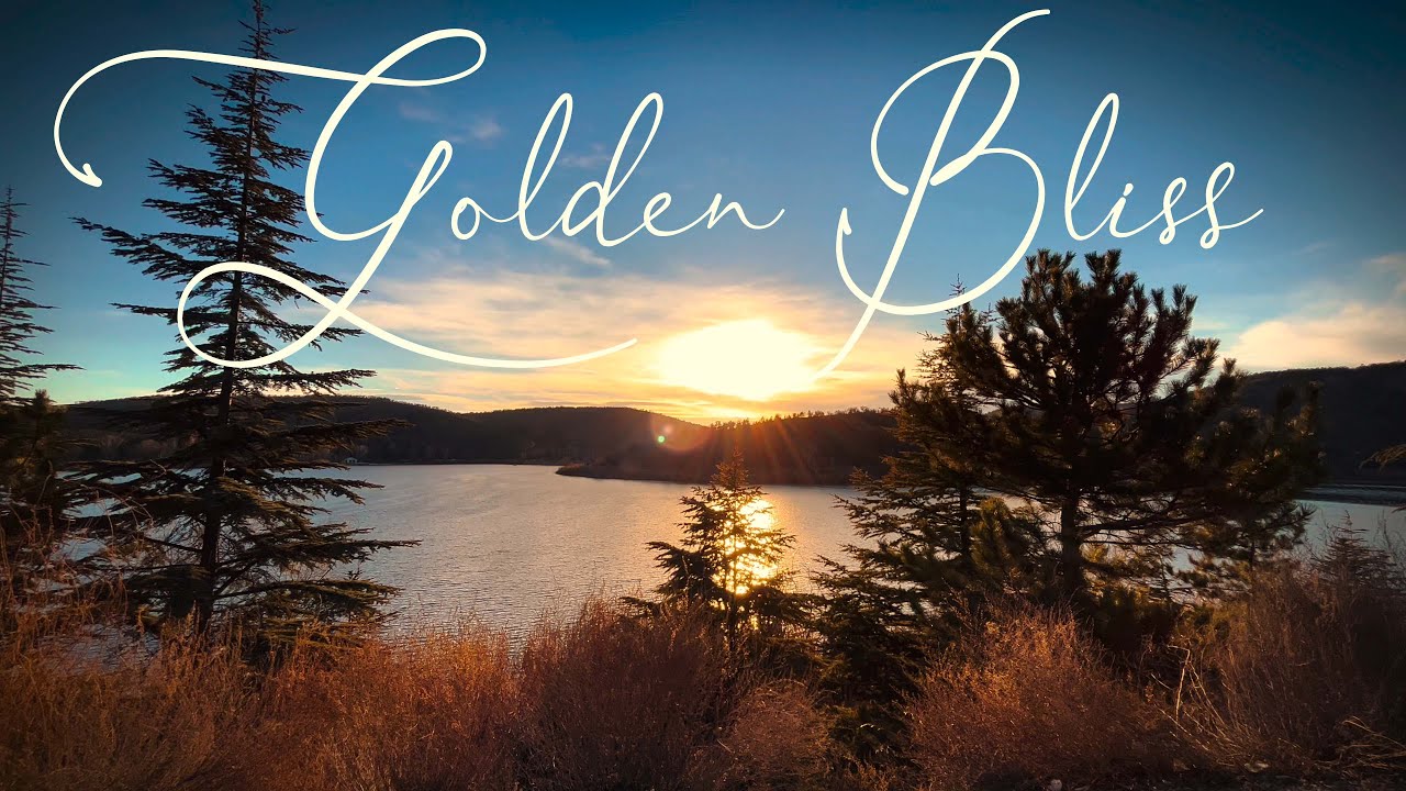 Golden Hour Bliss: Sunset at Lake and Forest with Soothing Music