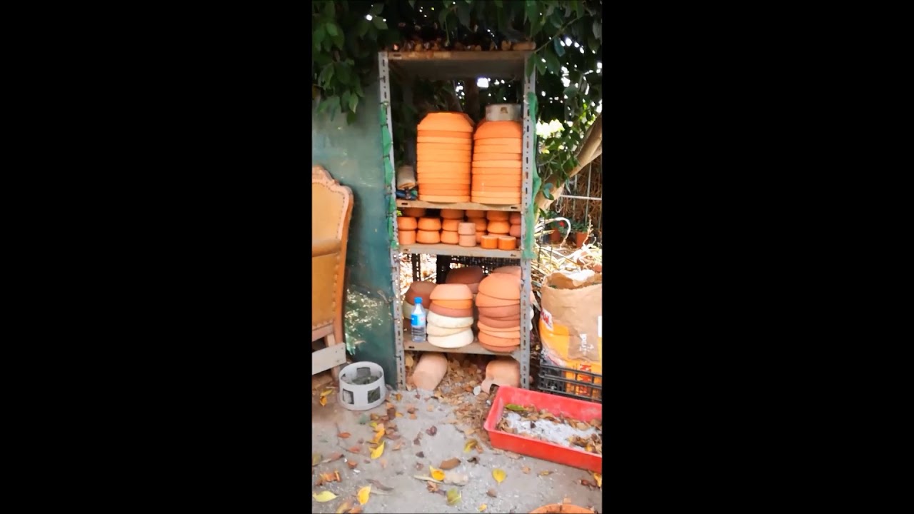 Palomas Mensajeras en Canarias , Mis Palomares