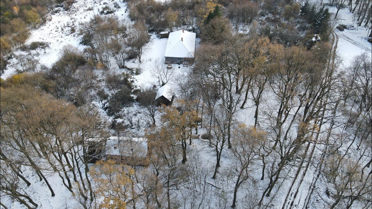 Chalupa na samote u lesa