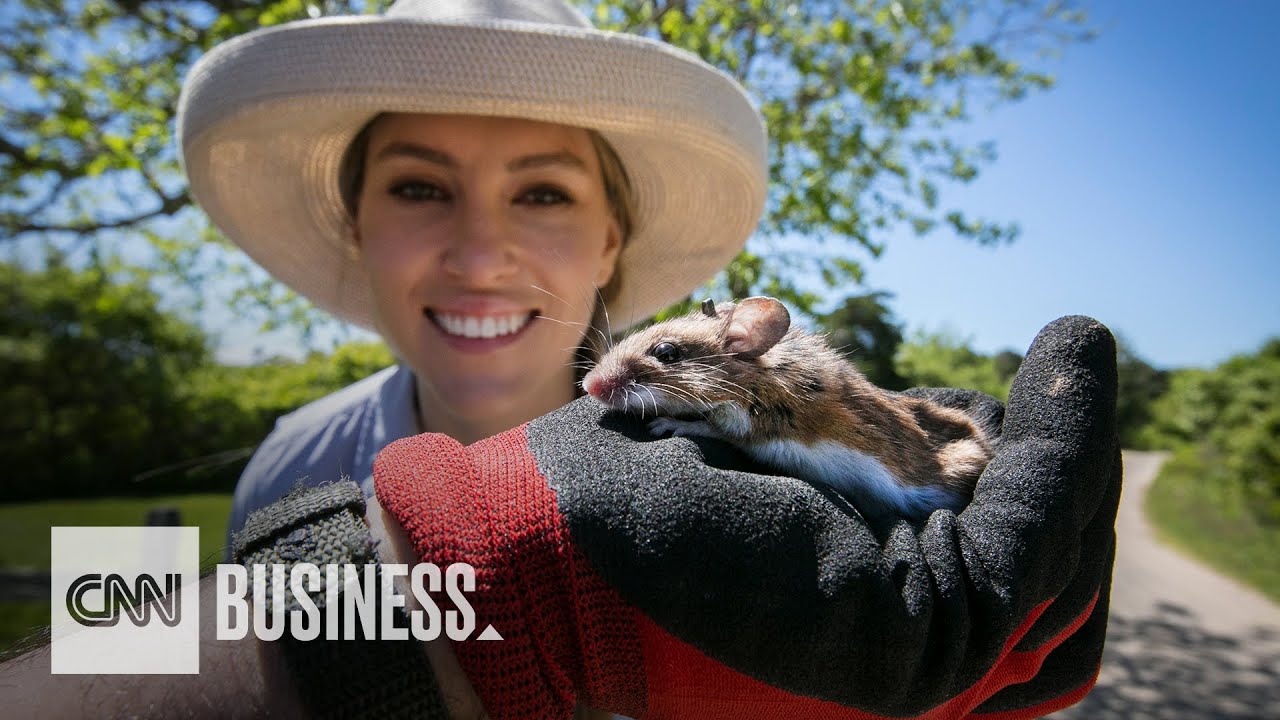 A radical idea to stop Lyme disease | Mission Ahead